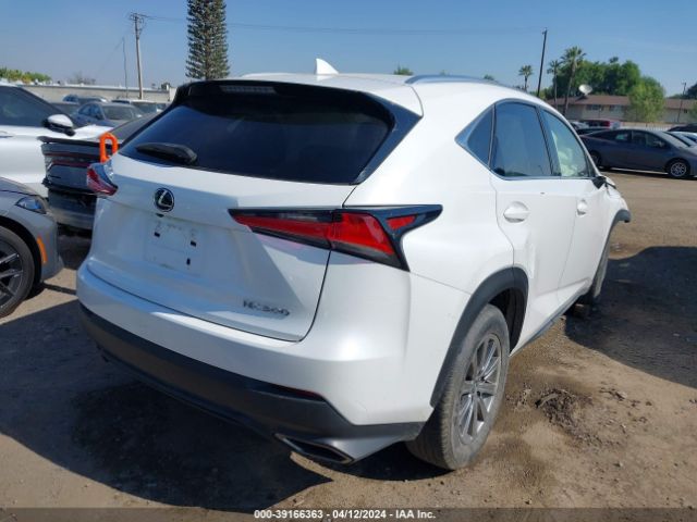 Photo 3 VIN: JTJDARBZ4M5027125 - LEXUS NX 