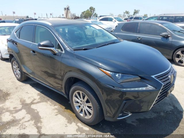 Photo 0 VIN: JTJDARBZ4M5034608 - LEXUS NX 