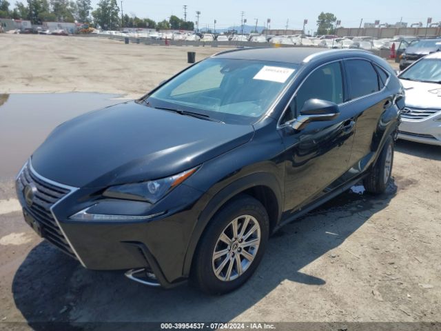 Photo 1 VIN: JTJDARBZ4M5034608 - LEXUS NX 