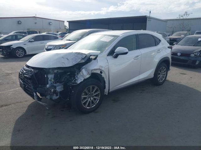 Photo 1 VIN: JTJDARBZ5M5031569 - LEXUS NX 