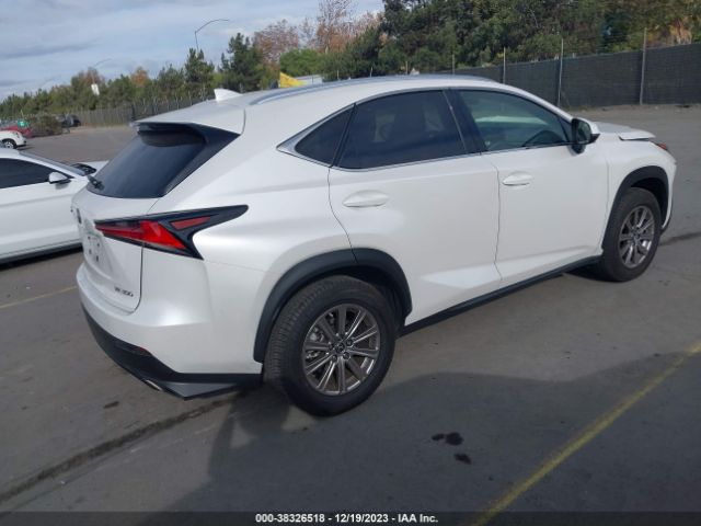 Photo 3 VIN: JTJDARBZ5M5031569 - LEXUS NX 