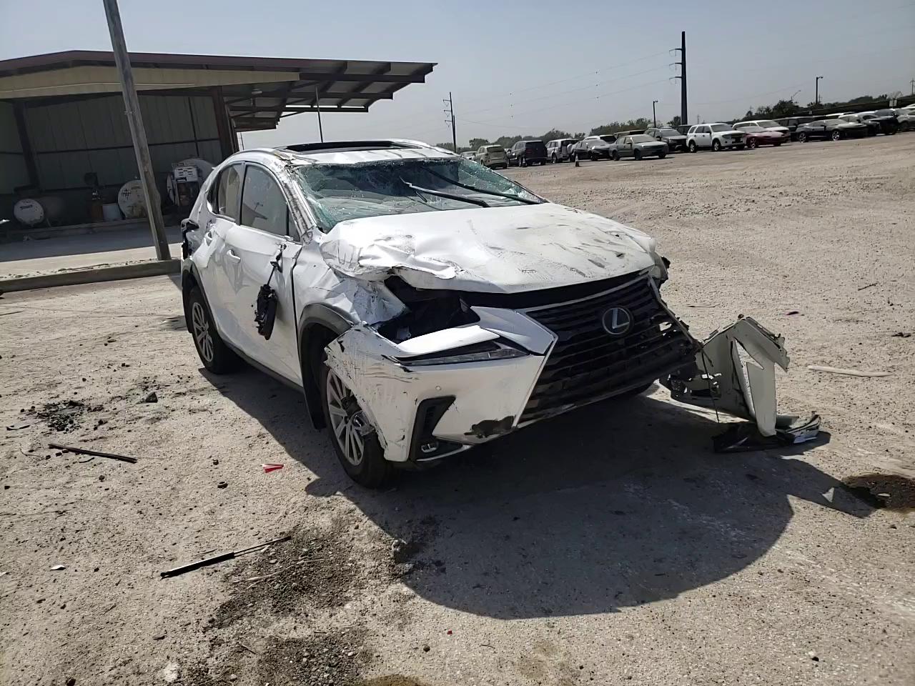 Photo 10 VIN: JTJDARBZ6L5009594 - LEXUS NX 300 