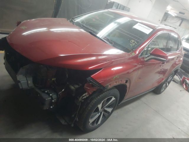 Photo 1 VIN: JTJDARBZ6L5011670 - LEXUS NX 