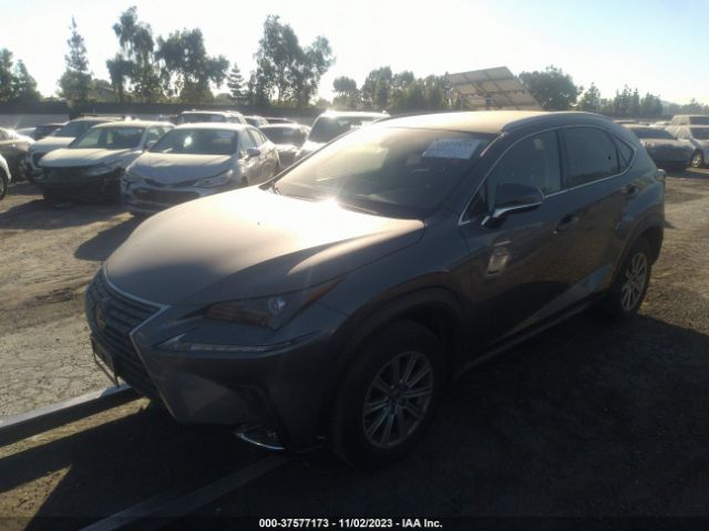 Photo 1 VIN: JTJDARBZ6M2186021 - LEXUS NX 