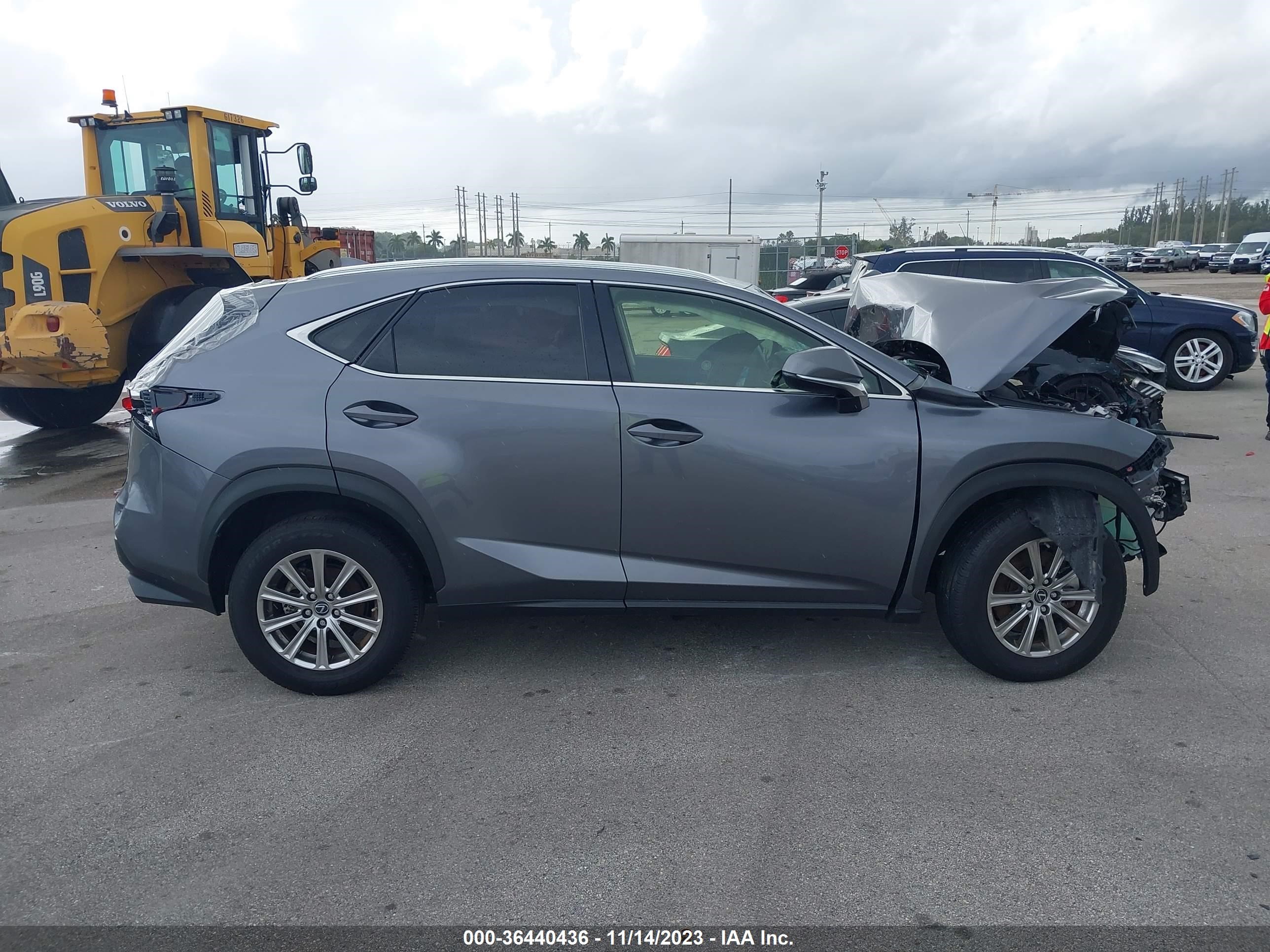 Photo 12 VIN: JTJDARBZ6M2195656 - LEXUS NX 