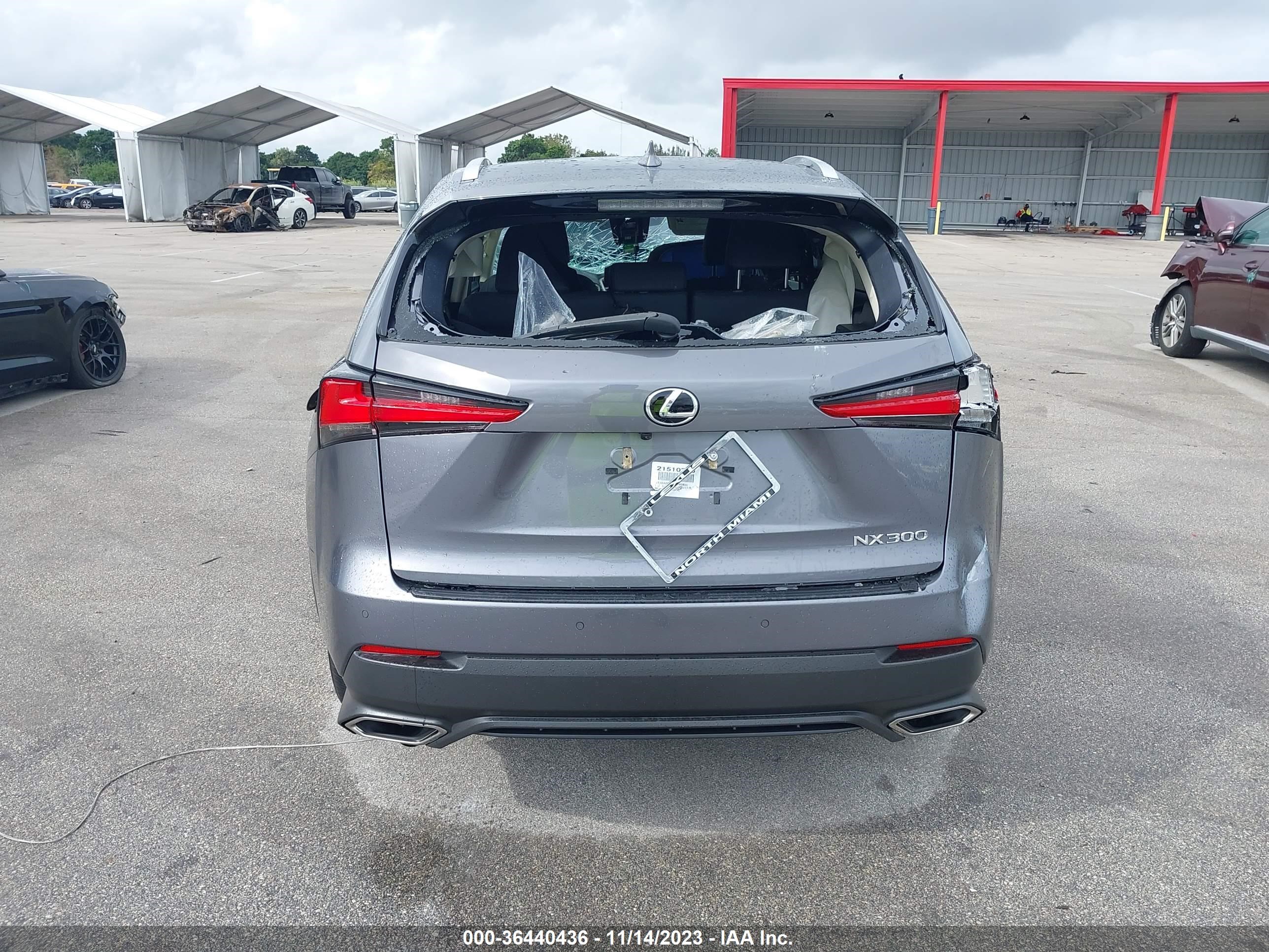 Photo 14 VIN: JTJDARBZ6M2195656 - LEXUS NX 