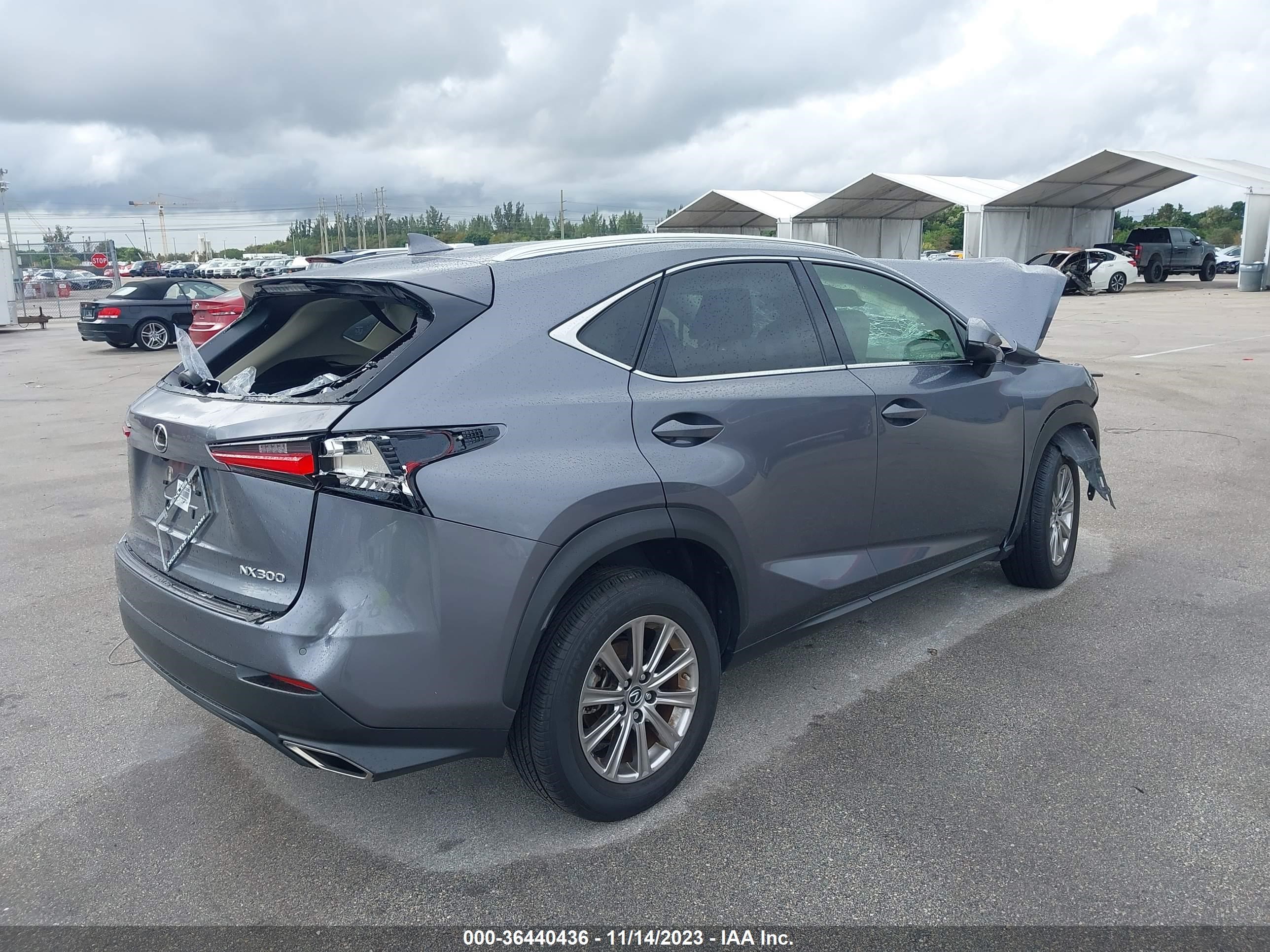 Photo 3 VIN: JTJDARBZ6M2195656 - LEXUS NX 