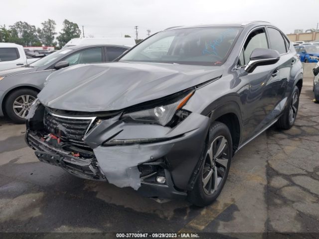 Photo 1 VIN: JTJDARBZ7L2164107 - LEXUS NX 