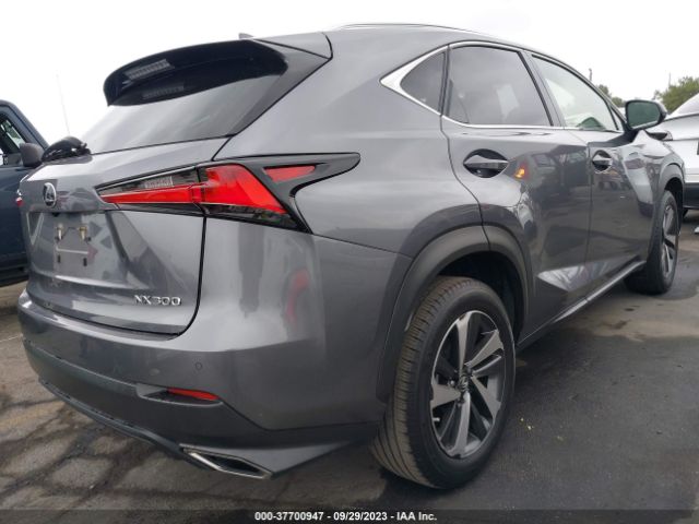 Photo 3 VIN: JTJDARBZ7L2164107 - LEXUS NX 