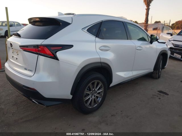 Photo 3 VIN: JTJDARBZ8L5001111 - LEXUS NX 