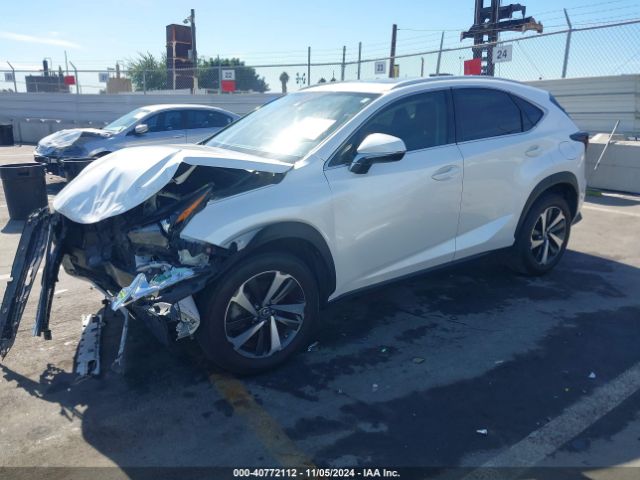 Photo 1 VIN: JTJDARBZ8L5004266 - LEXUS NX 