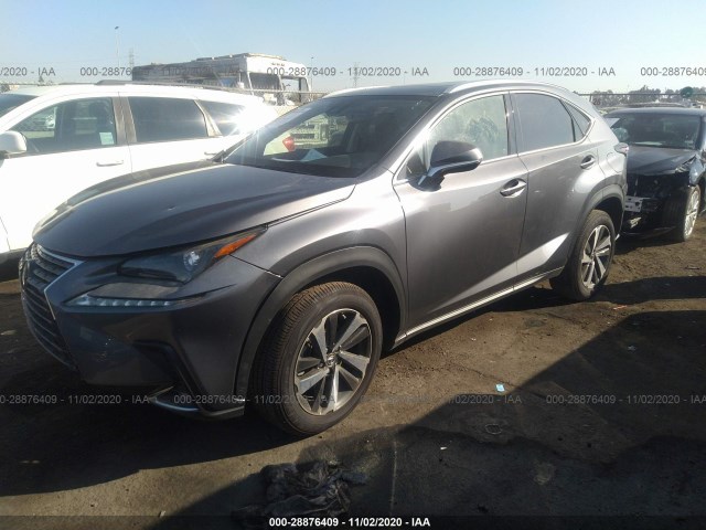 Photo 1 VIN: JTJDARBZXL5012028 - LEXUS NX 