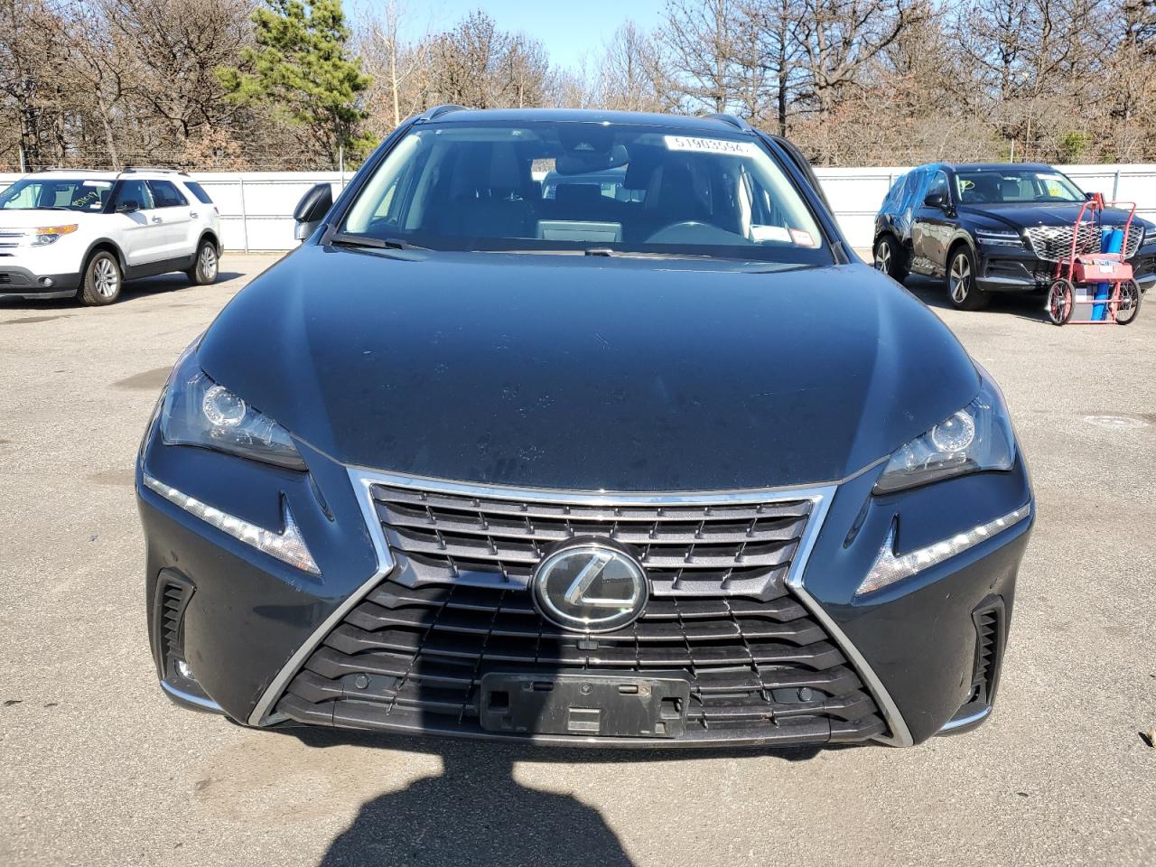 Photo 4 VIN: JTJDARDZ2M2241268 - LEXUS NX 