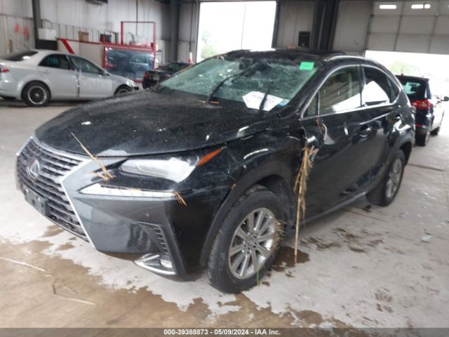 Photo 1 VIN: JTJDARDZ3L2235252 - LEXUS NX 