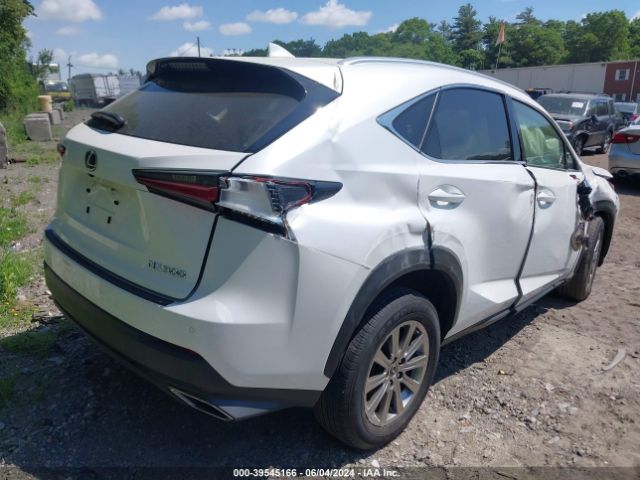 Photo 3 VIN: JTJDARDZ5M5027910 - LEXUS NX 