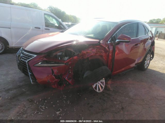 Photo 1 VIN: JTJDARDZ6L5007762 - LEXUS NX 