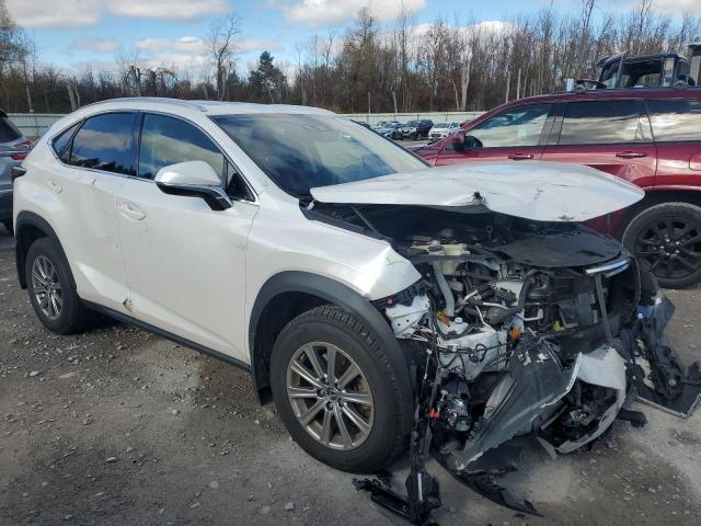 Photo 3 VIN: JTJDARDZ6M5024482 - LEXUS NX 300 BAS 