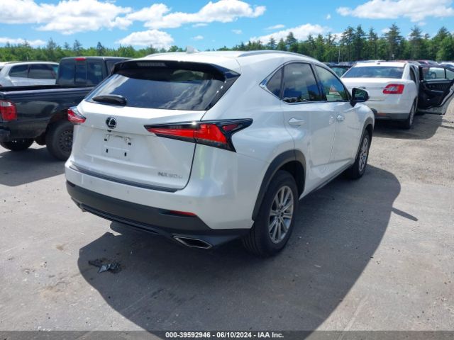 Photo 3 VIN: JTJDARDZ7L5015725 - LEXUS NX 