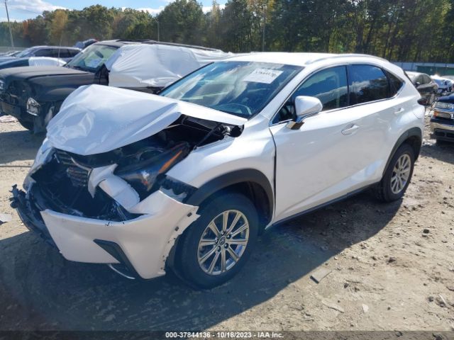 Photo 1 VIN: JTJDARDZ7M5020683 - LEXUS NX 300 