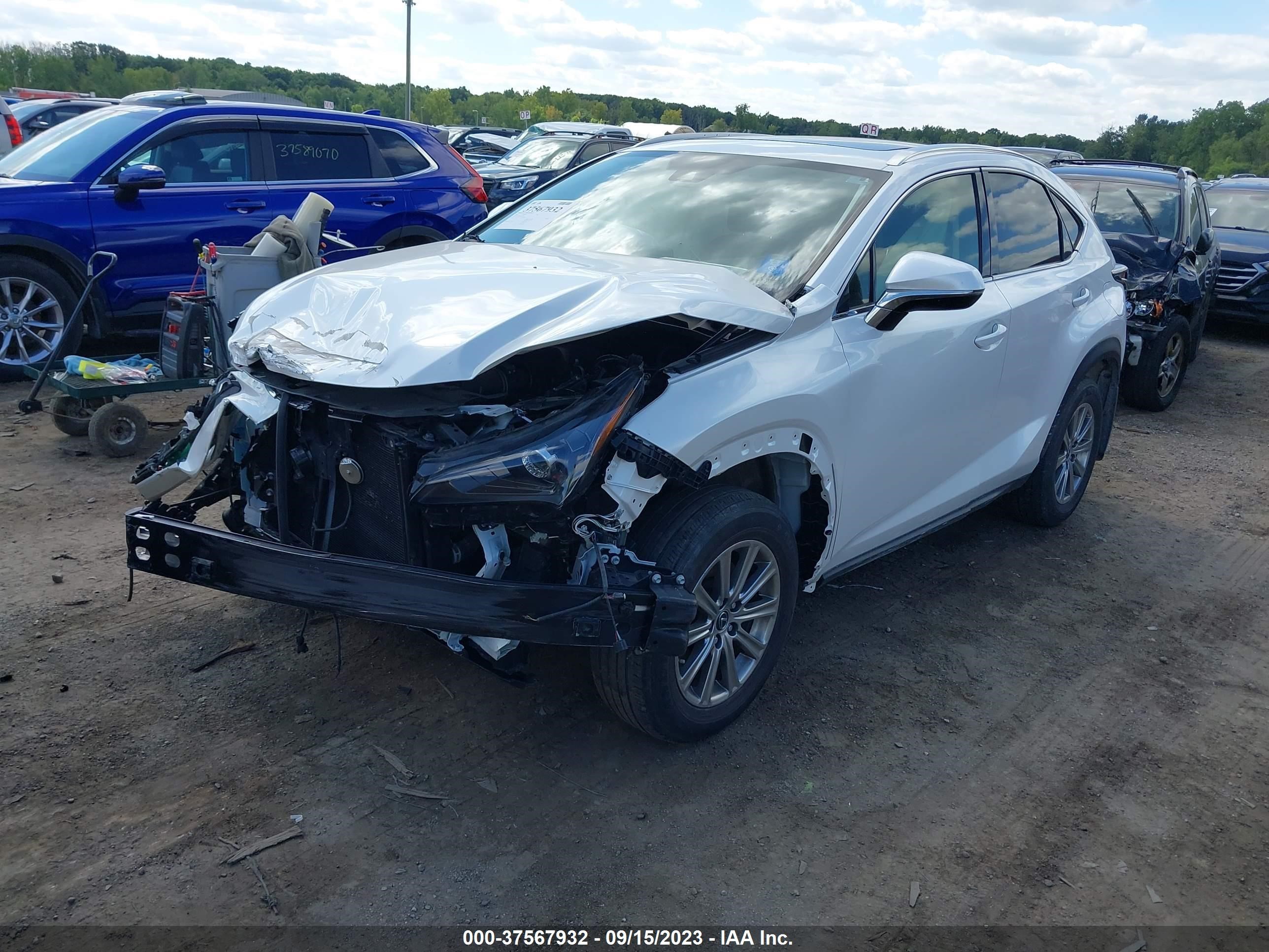 Photo 1 VIN: JTJDARDZ8L2232430 - LEXUS NX 