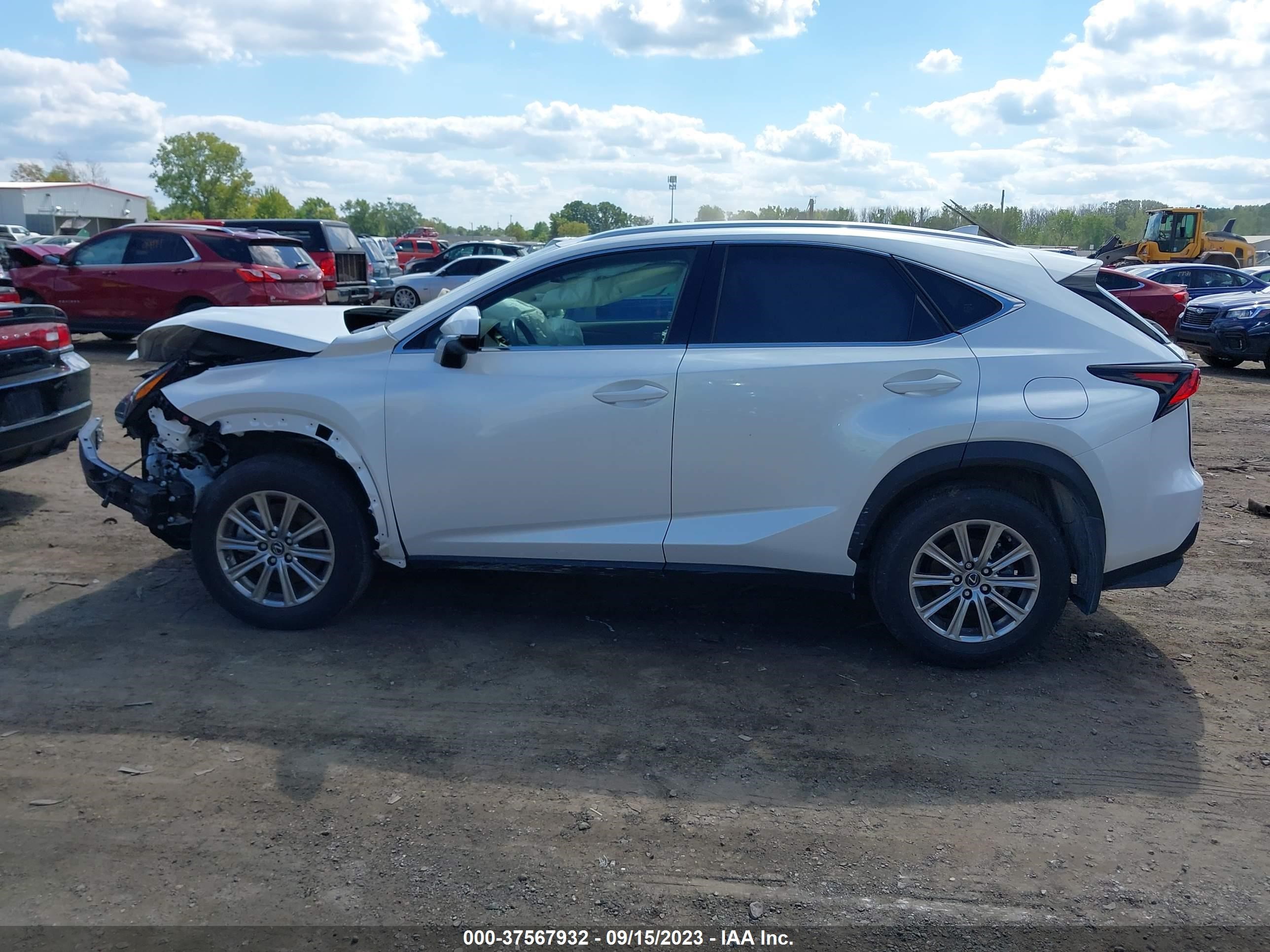 Photo 13 VIN: JTJDARDZ8L2232430 - LEXUS NX 