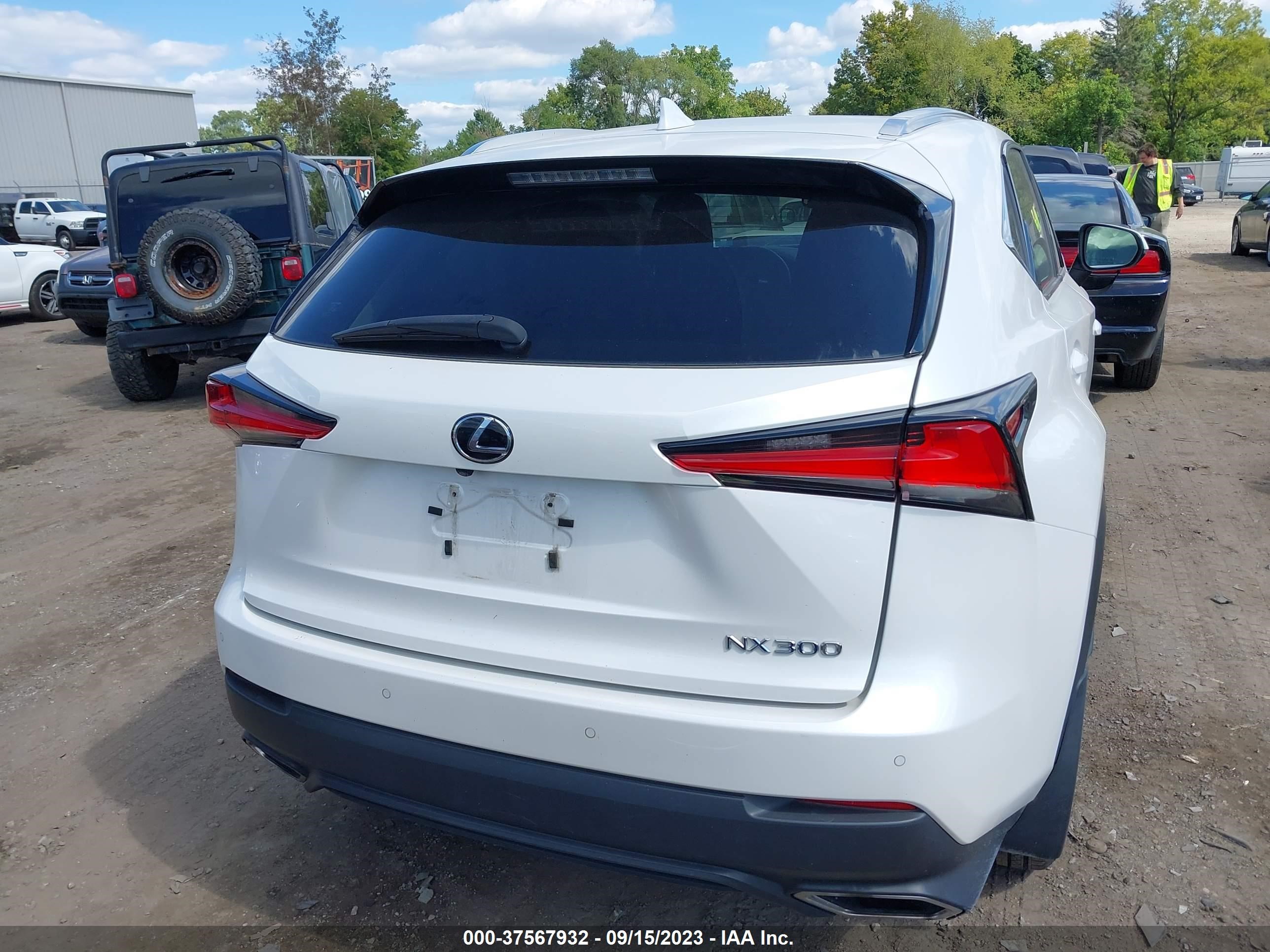 Photo 15 VIN: JTJDARDZ8L2232430 - LEXUS NX 