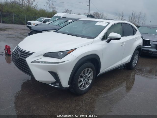 Photo 1 VIN: JTJDARDZ8L5006175 - LEXUS NX 300 