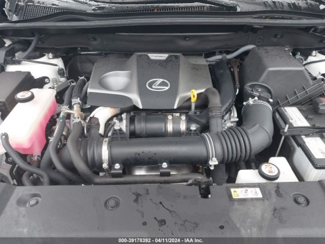 Photo 9 VIN: JTJDARDZ8L5006175 - LEXUS NX 300 