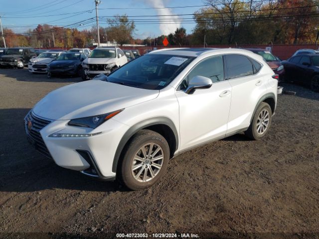 Photo 1 VIN: JTJDARDZ9L5006198 - LEXUS NX 