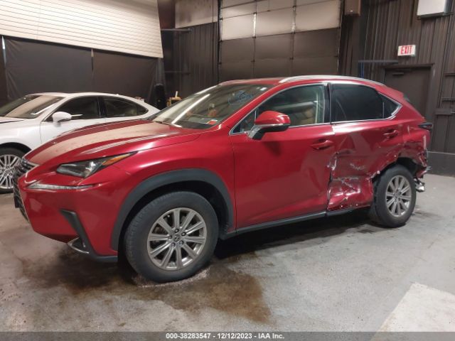 Photo 1 VIN: JTJDARDZ9L5006315 - LEXUS NX 