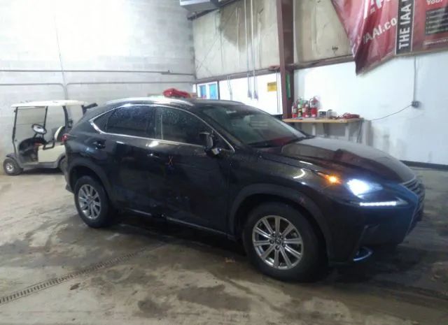 Photo 0 VIN: JTJDARDZ9M2244619 - LEXUS NX 