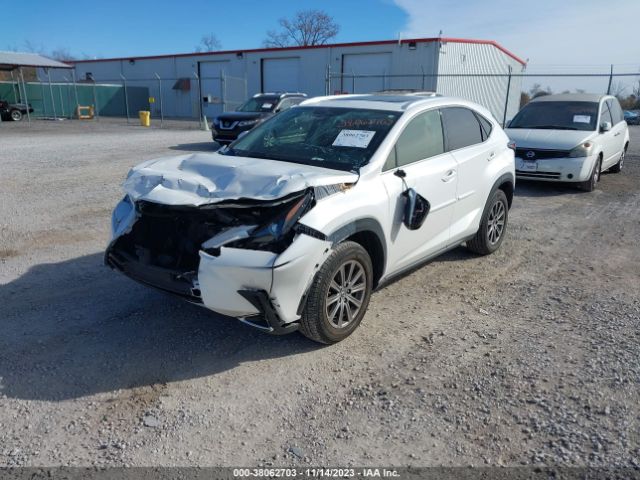 Photo 1 VIN: JTJDARDZXL2219095 - LEXUS NX 