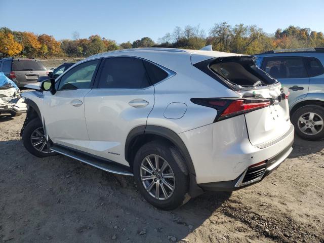 Photo 1 VIN: JTJDJRDZ3L2145440 - LEXUS NX 300H 