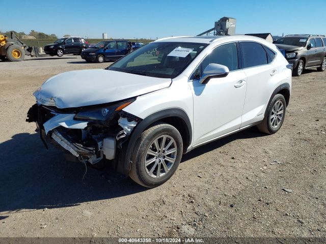 Photo 1 VIN: JTJDJRDZ8M5010678 - LEXUS NX 