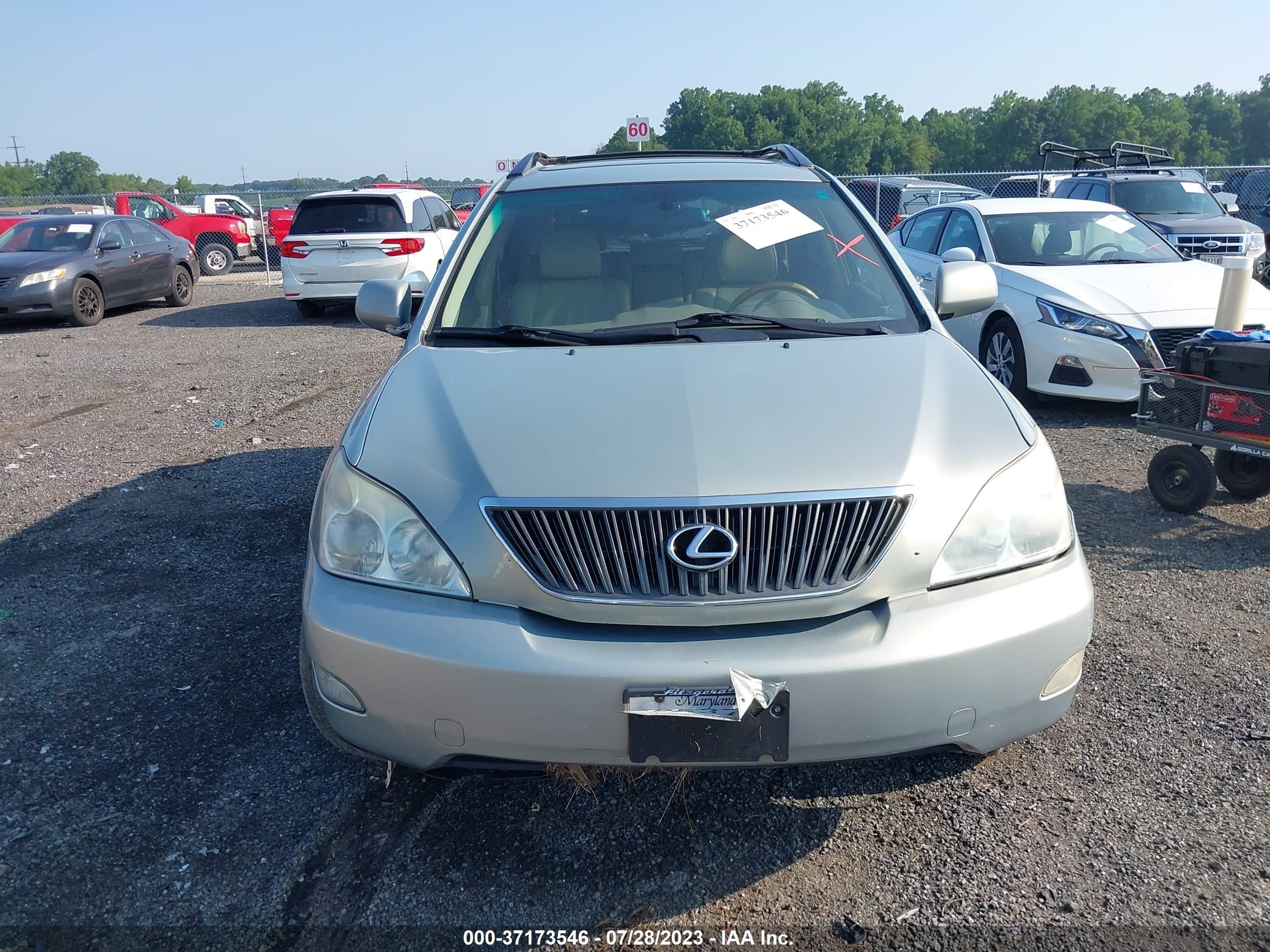 Photo 10 VIN: JTJGA31U140017875 - LEXUS RX 