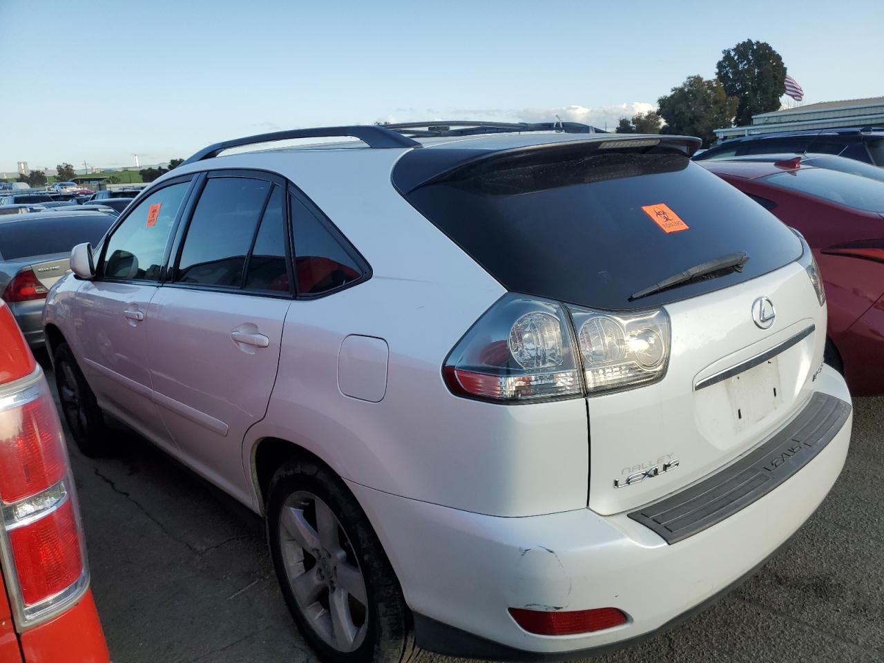 Photo 1 VIN: JTJGA31U240012989 - LEXUS RX 