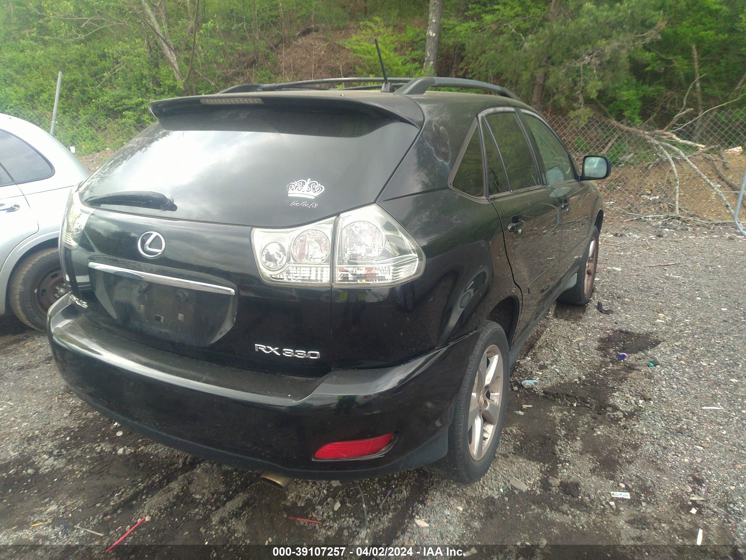 Photo 5 VIN: JTJGA31U340034936 - LEXUS RX 