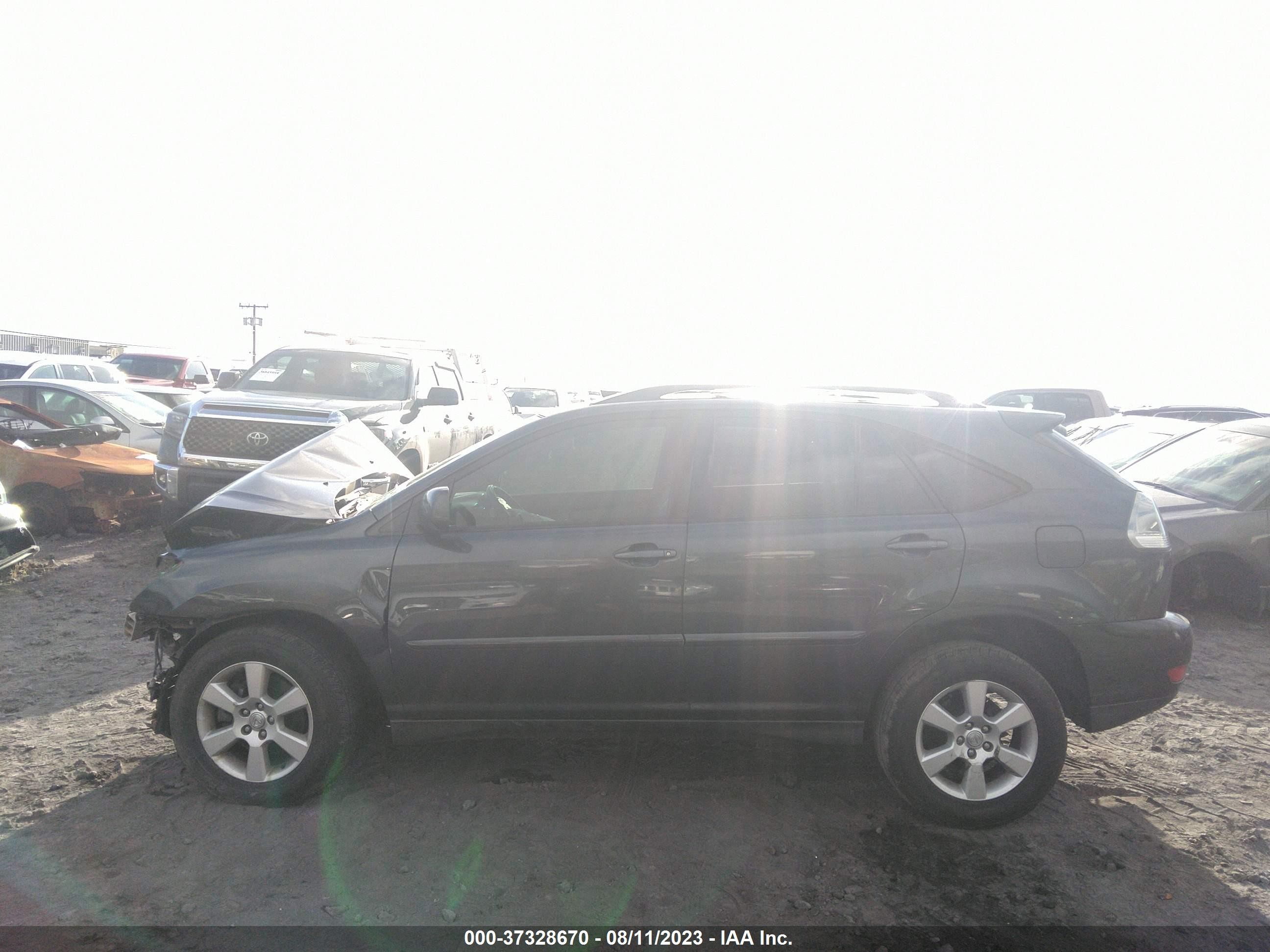 Photo 13 VIN: JTJGA31U360064652 - LEXUS RX 