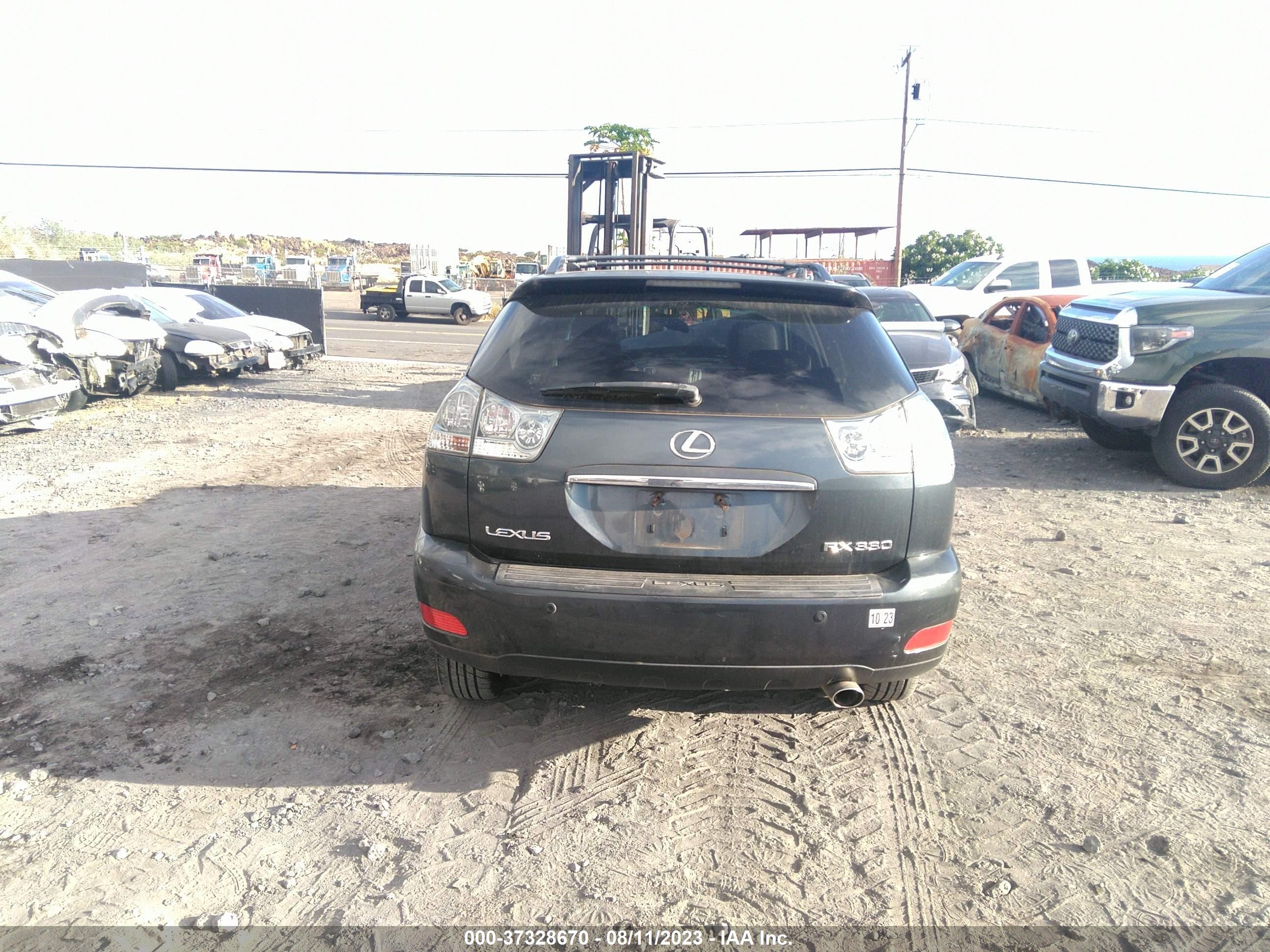 Photo 15 VIN: JTJGA31U360064652 - LEXUS RX 