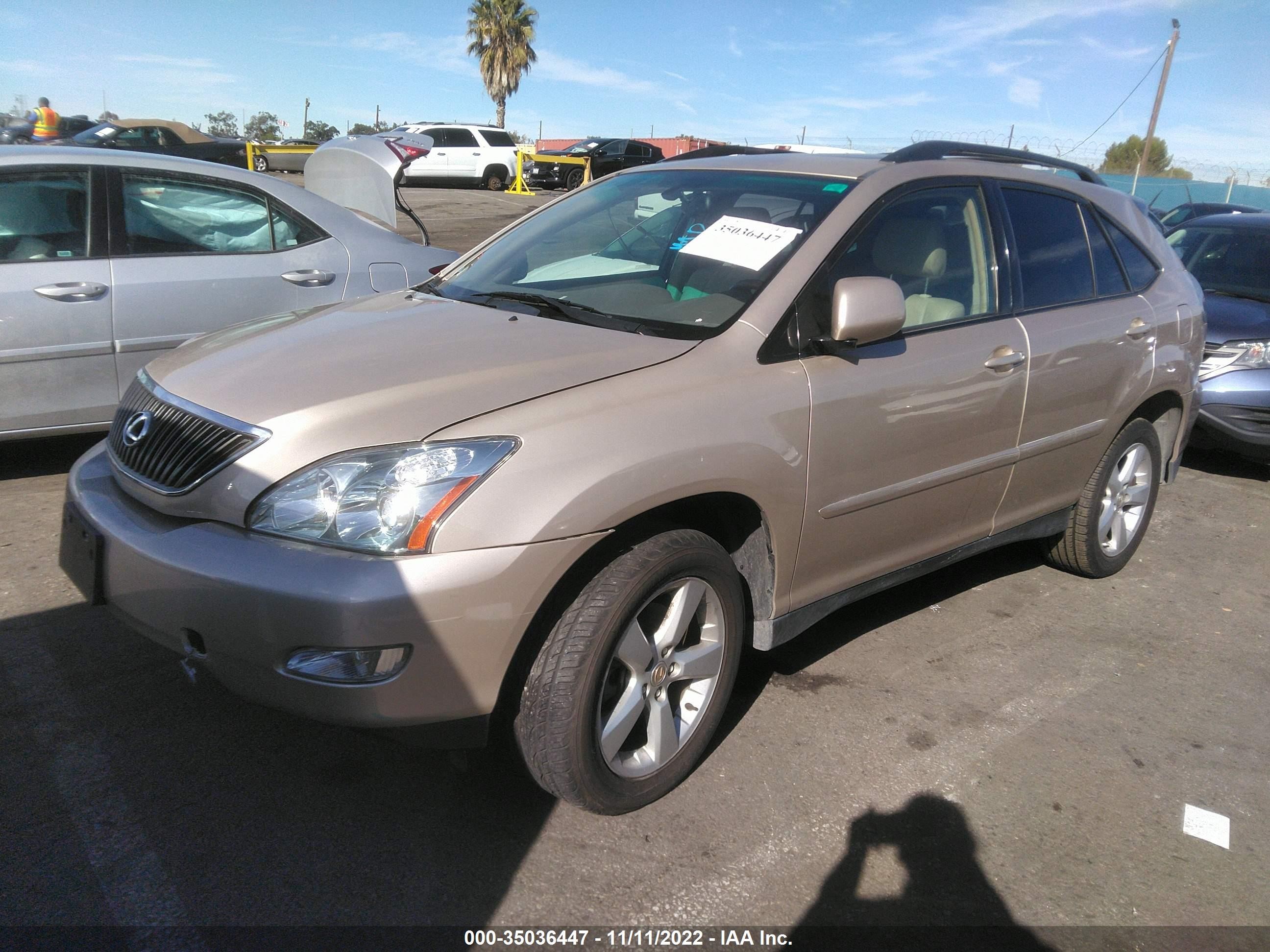 Photo 1 VIN: JTJGA31U550048399 - LEXUS RX 