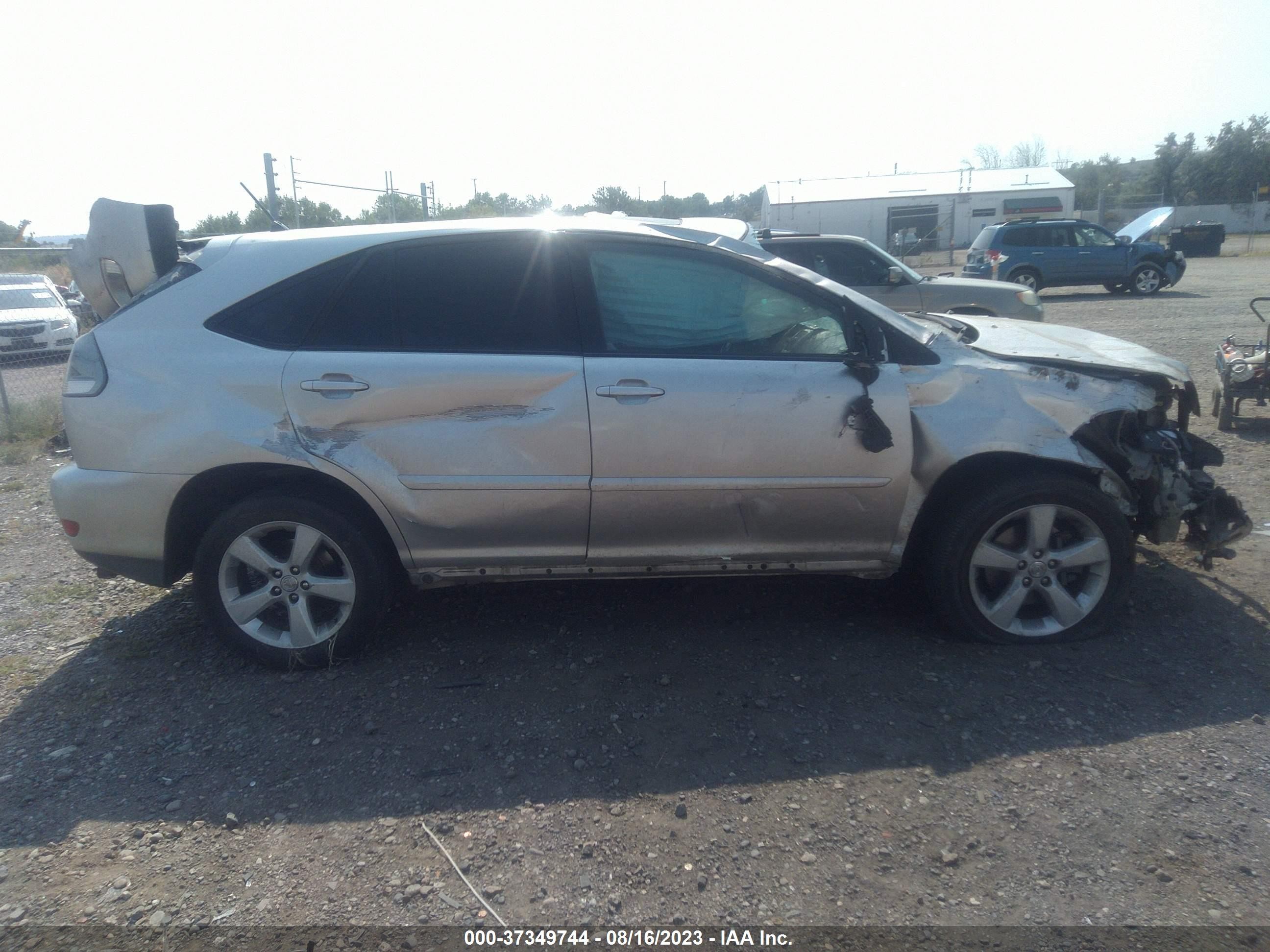 Photo 12 VIN: JTJGA31U760065464 - LEXUS RX 