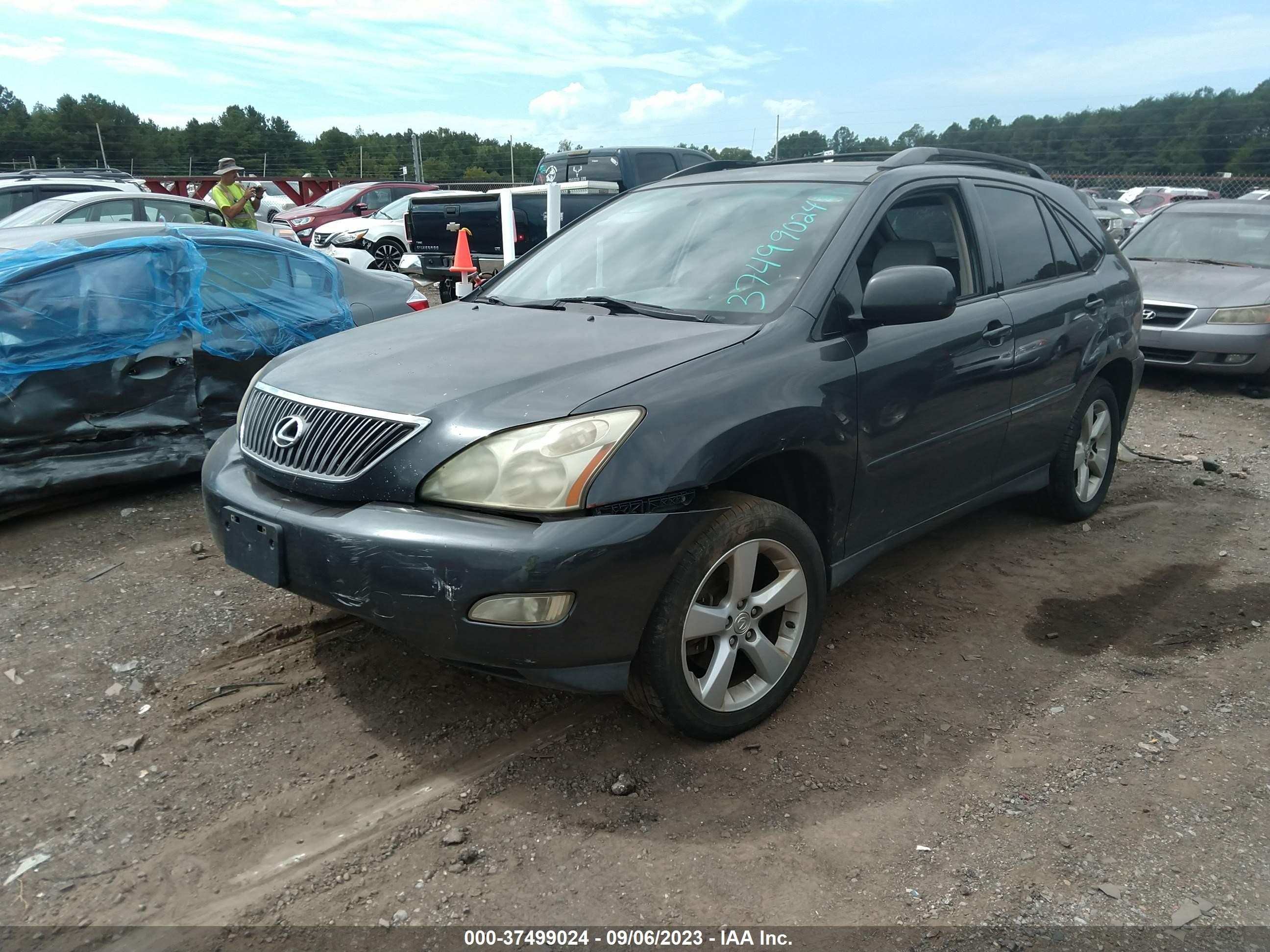 Photo 1 VIN: JTJGA31U940006784 - LEXUS RX 