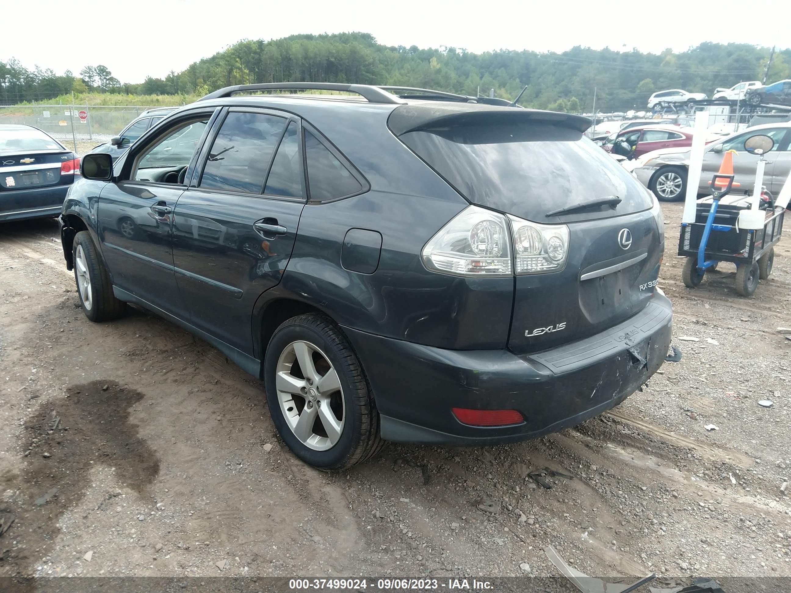 Photo 2 VIN: JTJGA31U940006784 - LEXUS RX 