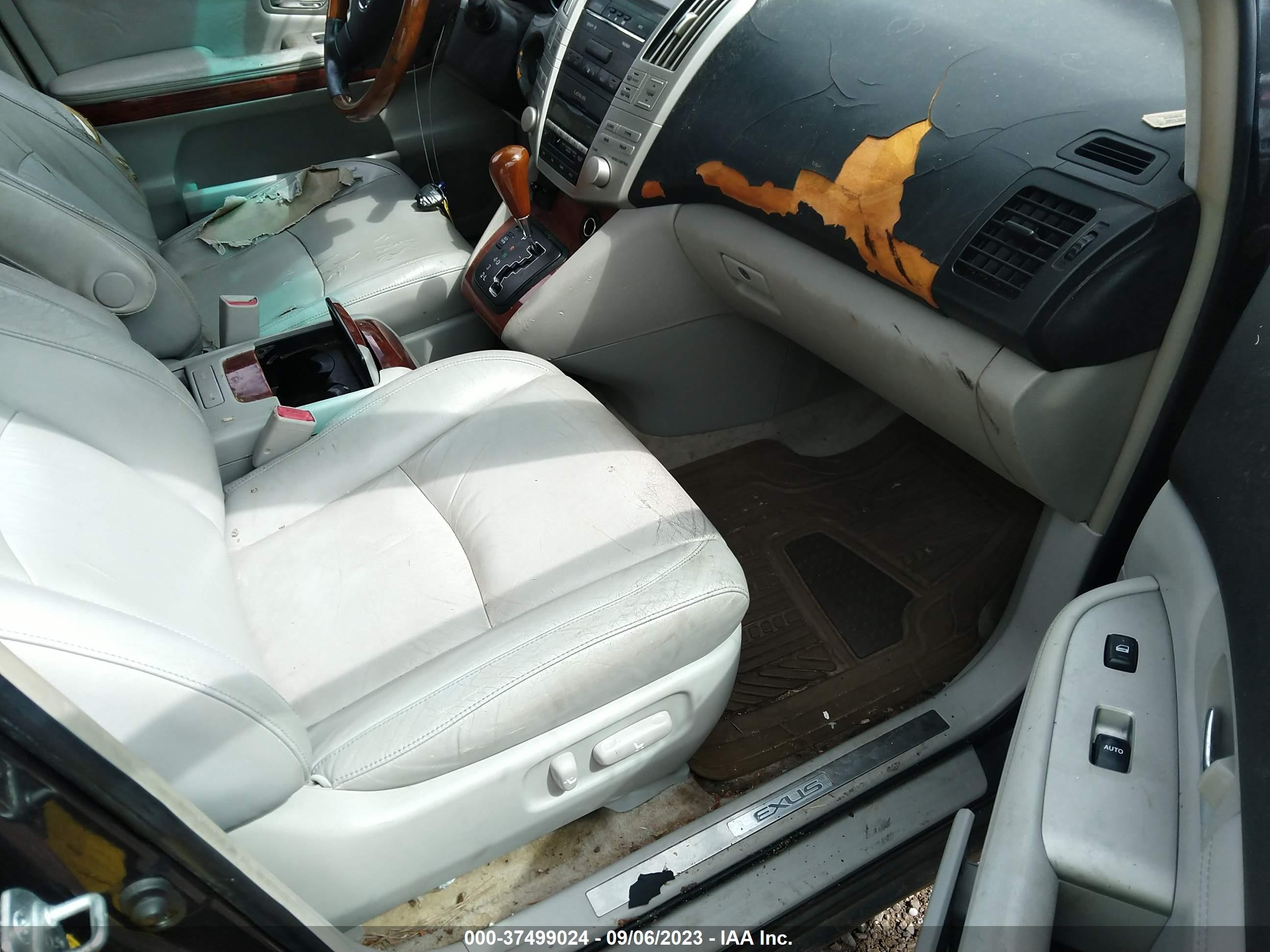 Photo 4 VIN: JTJGA31U940006784 - LEXUS RX 