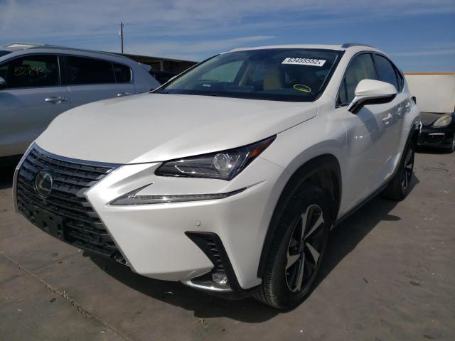 Photo 1 VIN: JTJGARBZ1L2176248 - LEXUS NX 