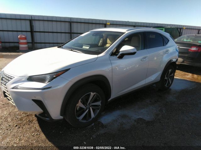 Photo 1 VIN: JTJGARBZ1L2176248 - LEXUS NX 