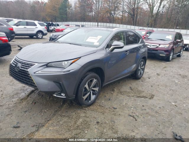 Photo 1 VIN: JTJGARBZ1L5010987 - LEXUS NX 