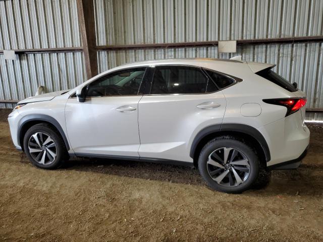 Photo 1 VIN: JTJGARBZ1M5023174 - LEXUS NX 300 BAS 