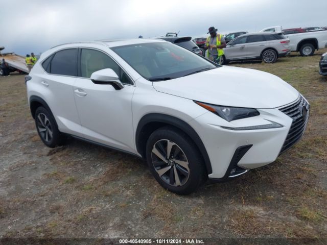 Photo 0 VIN: JTJGARBZ2M5020705 - LEXUS NX 