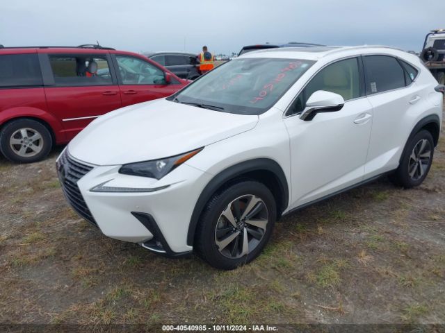 Photo 1 VIN: JTJGARBZ2M5020705 - LEXUS NX 